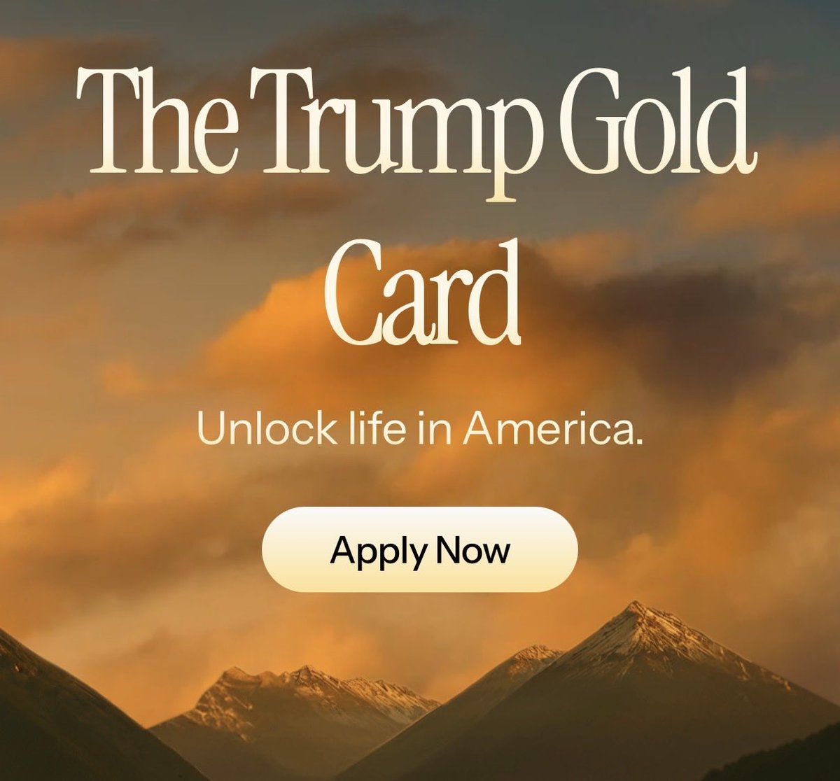 HayekAndKeynes's tweet image. The Trump Gold Card has launched 

trumpcard.gov
