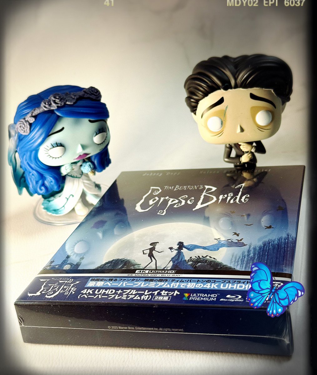 ✧.*◝(•❝͋꒳❝͋•)◟*·✧✧.*◝(•❝͋꒳❝͋•)◟*·✧ コープスブライド