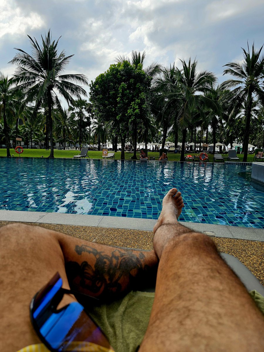 menacho1981's tweet image. 