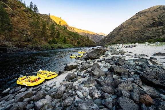 G R A C E ☆ tweet media