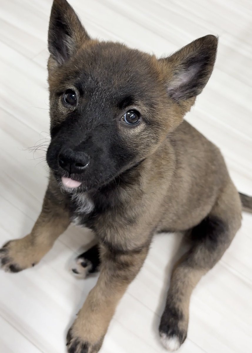 そよ風 (@sakunon0625) / Posts / X