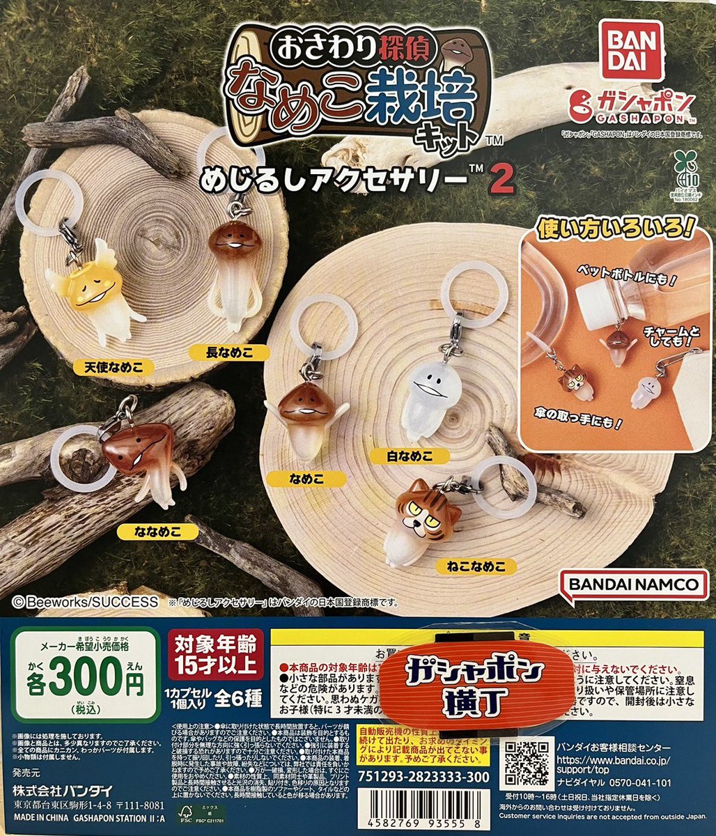 12月11日(木)入荷情報①／ 🍓#lilalamode すわらせ隊2～いちごが