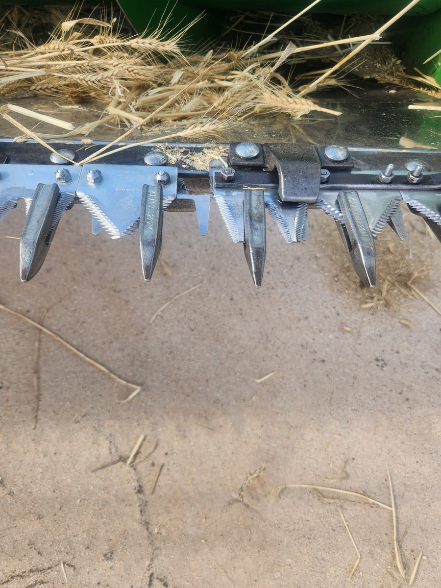 Bryn Davies an OA dad tweet media