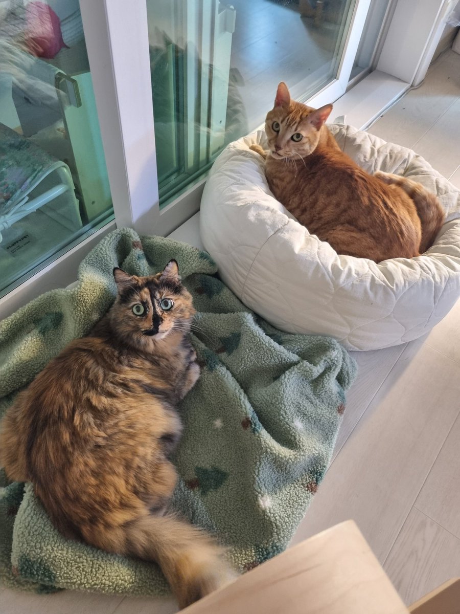 그렇게 쳐다볼것까진 없잖아..