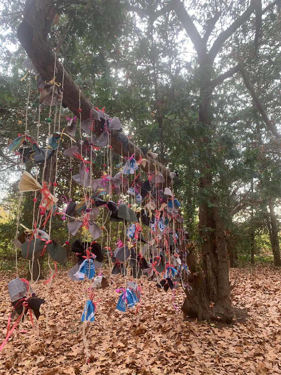 eco2adapt tweet media