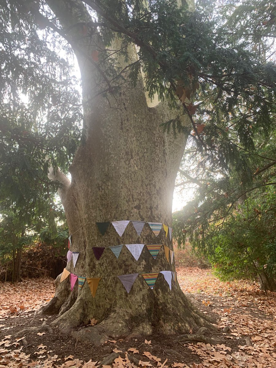 eco2adapt tweet media