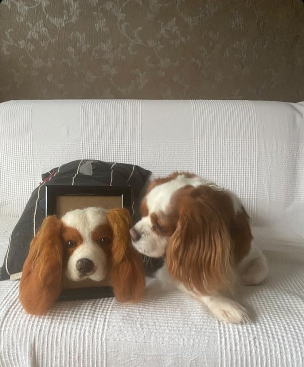 FoxPuniDigital's tweet image. Felt Cat and Dog. #caturday #handcrafted