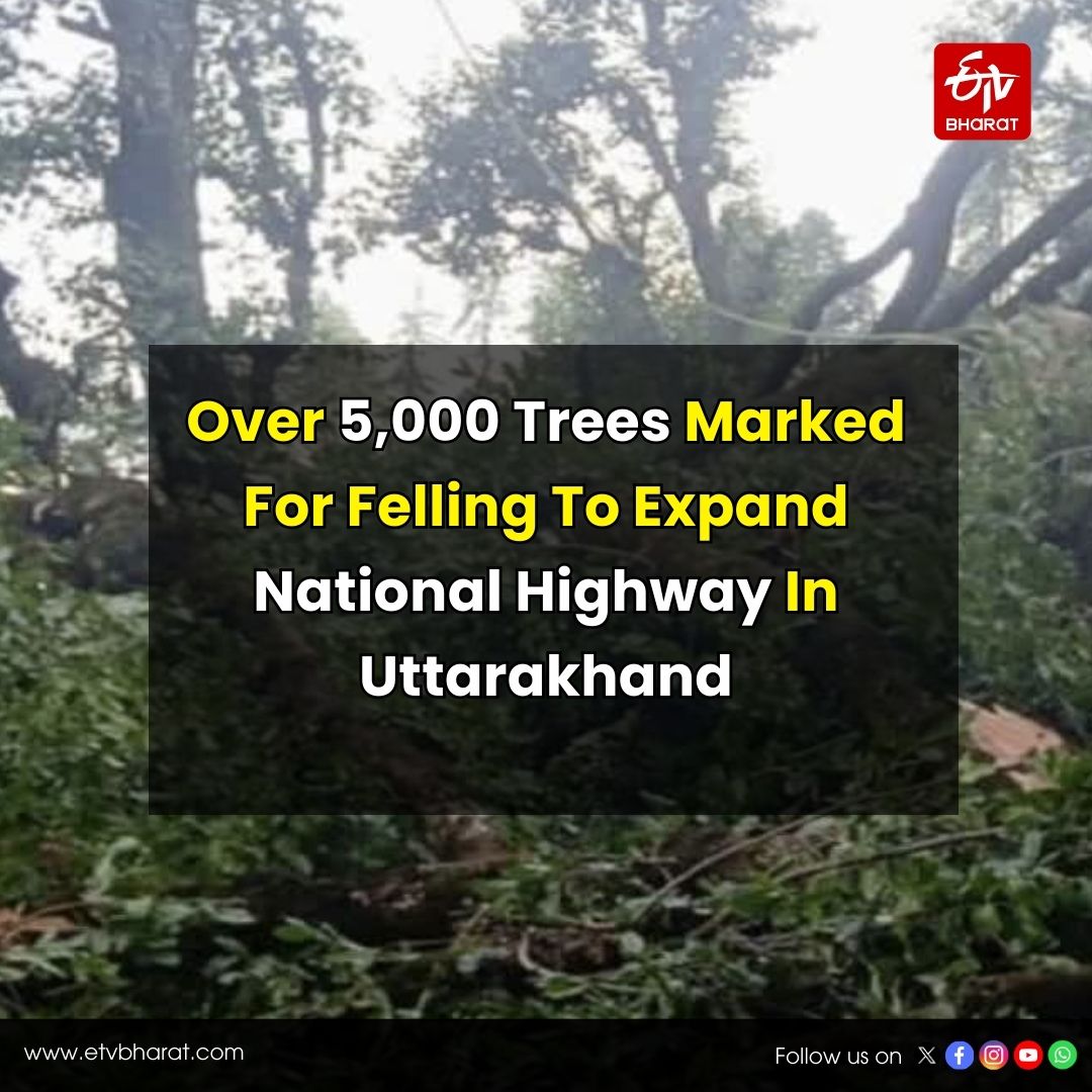 ETVBharatEng's tweet image. Over 5,000 Trees Marked For Felling To Expand National Highway In Uttarakhand

Know More:

etvbharat.com/en/state/many-…

#Uttarakhand #Deforestation #SaveTrees #EnvironmentalCrisis #NationalHighway #Ecology
