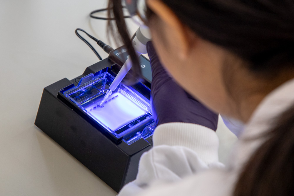 Wellcome Connecting Science Engagement and Society tweet media