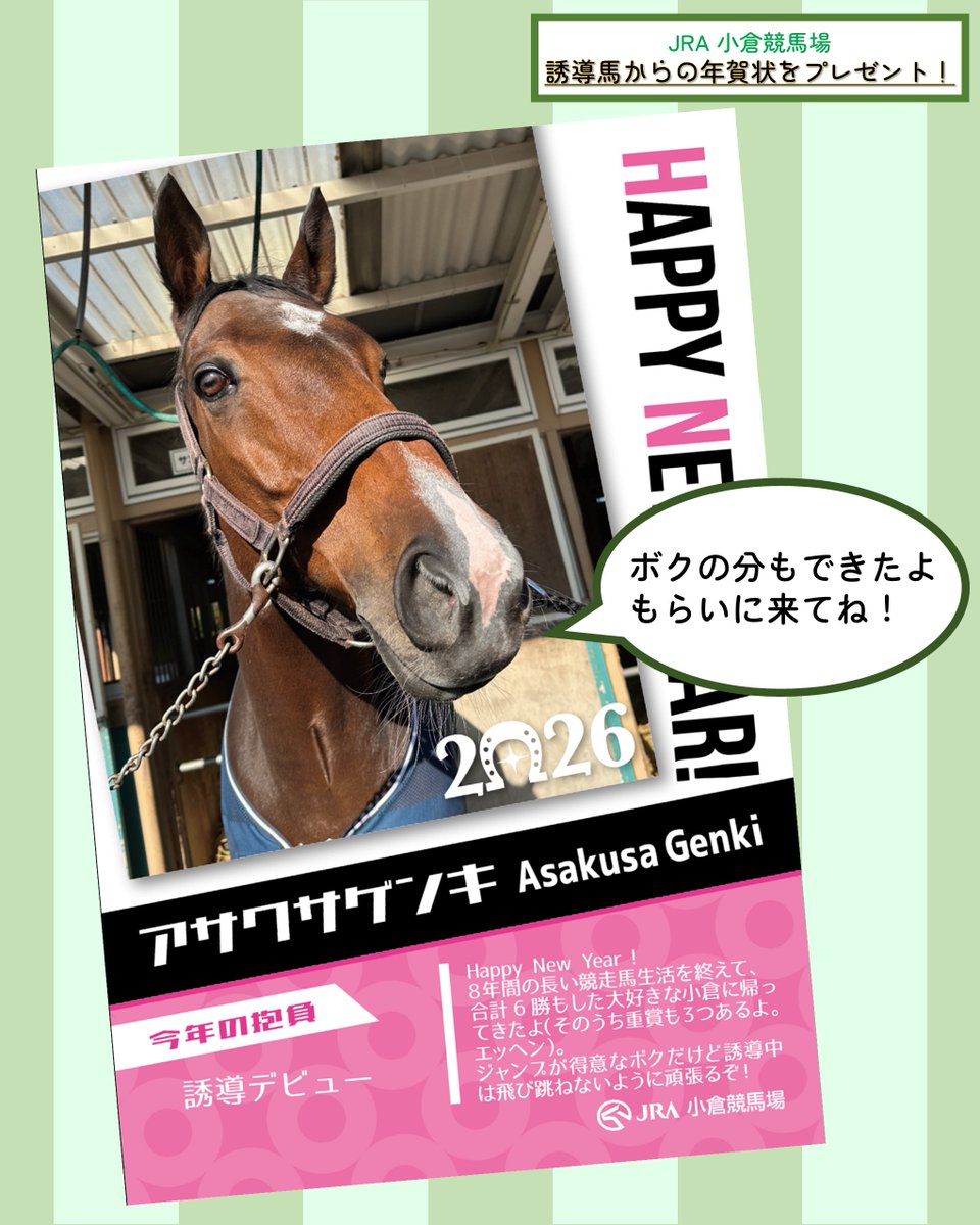先日発表した誘導馬からの年賀状プレゼントについて、アサクサゲンキの