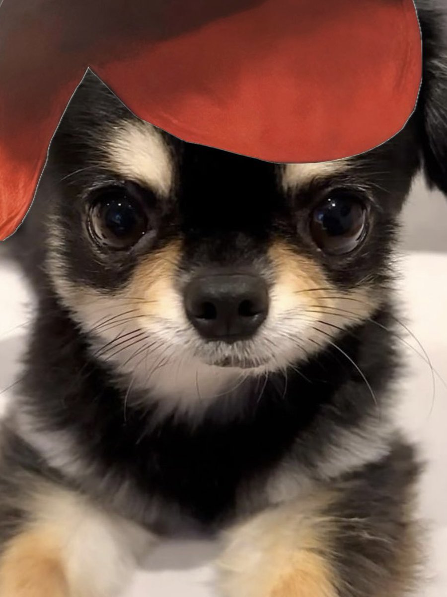 nxnuxo's tweet image. 