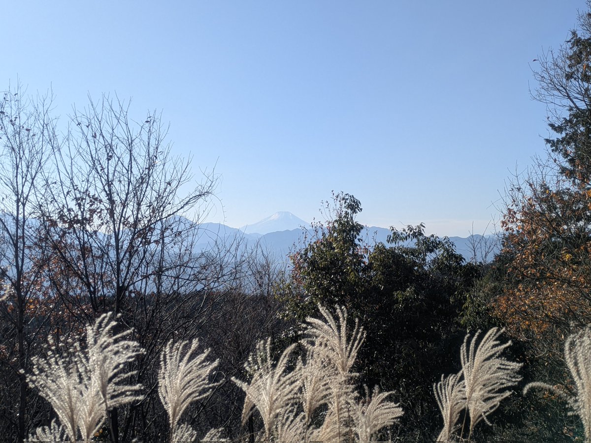 kerela9ma's tweet photo. 今日は高尾山から相模湖までをハイク。高尾山の賑わいはすごいです、平日なのに、紅葉も終わったのに、すごい。山頂以外は静かな山歩きで、鳥の声の向こうの車や電車の音が、なんか、良かったです。 https://t.co/dSiJsTfMvr