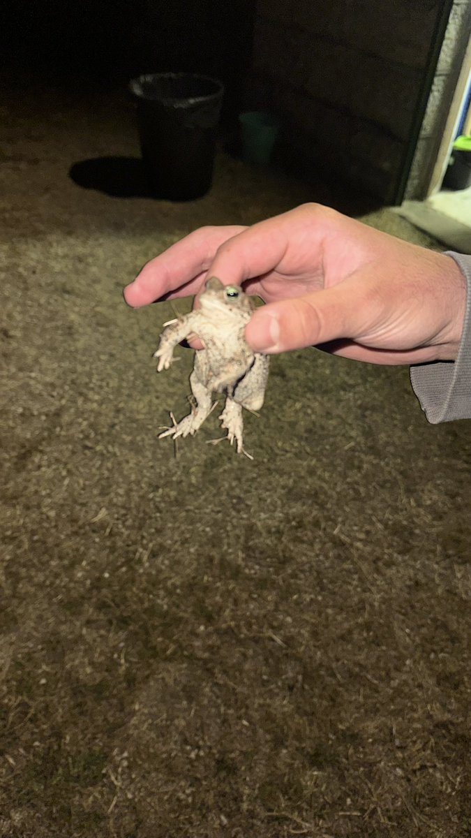 pablo (@pnareadz) on Twitter photo 