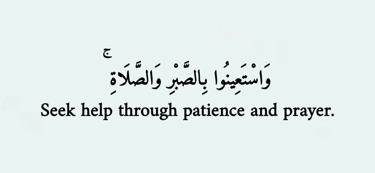 Alquranconnect's tweet photo. If you don’t know what to do next, read these four Aayāt: https://t.co/wYC8yM3h45