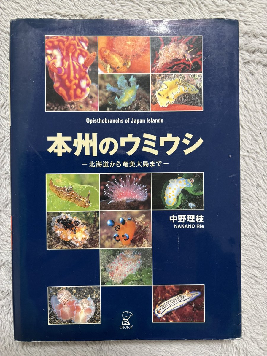 ウミウシ図鑑。 ウミウシガイドブック、本州のウミウシ、ウミウシの