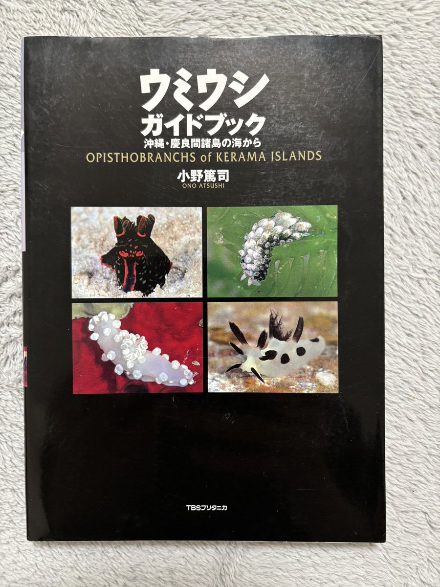 ウミウシ図鑑。 ウミウシガイドブック、本州のウミウシ、ウミウシの