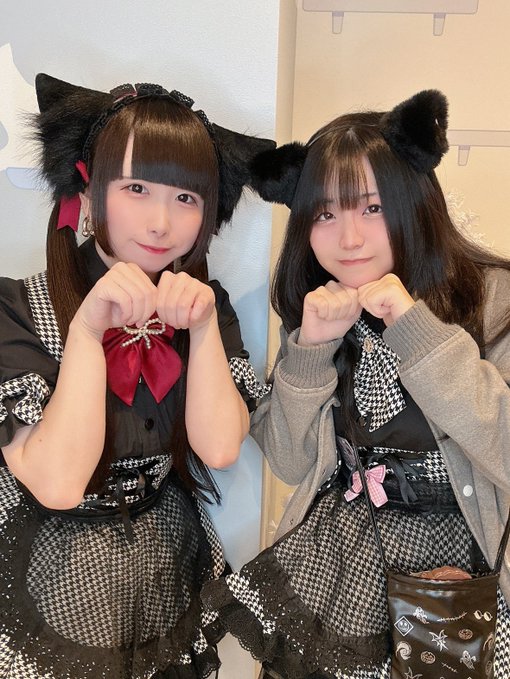 キャットウォーク Catwalkのツイート