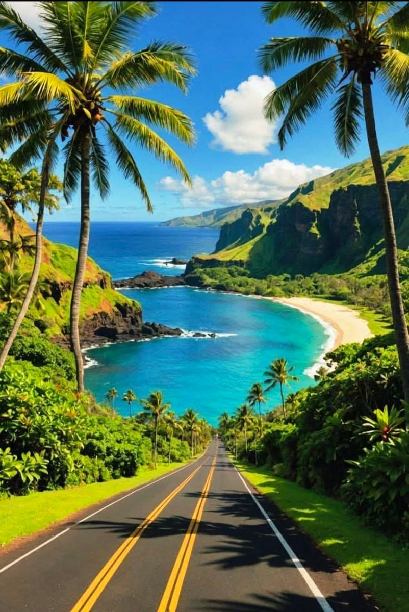 Good afternoon 🌹🍀🕊️🍀☀️