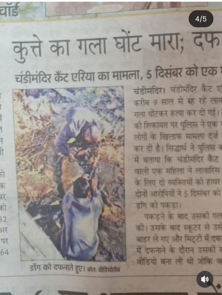 pricatttt's tweet image. In Chandimandir Contonment area, Panchkula,the wife of an army officer did the unthinkable. She paid two workers and got a loved community dog k*lled in the most horrific manner. Dear Ronnie, never come back to this cruel world 💔💔 
#SaveIndianDogs
I hope SC also sees this..