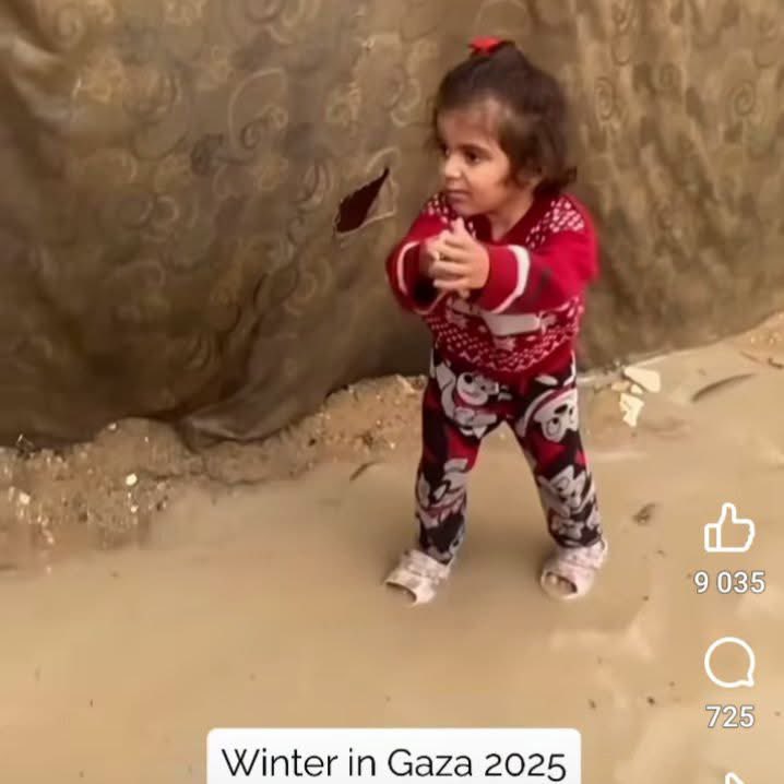 A.Günsberger tweet media