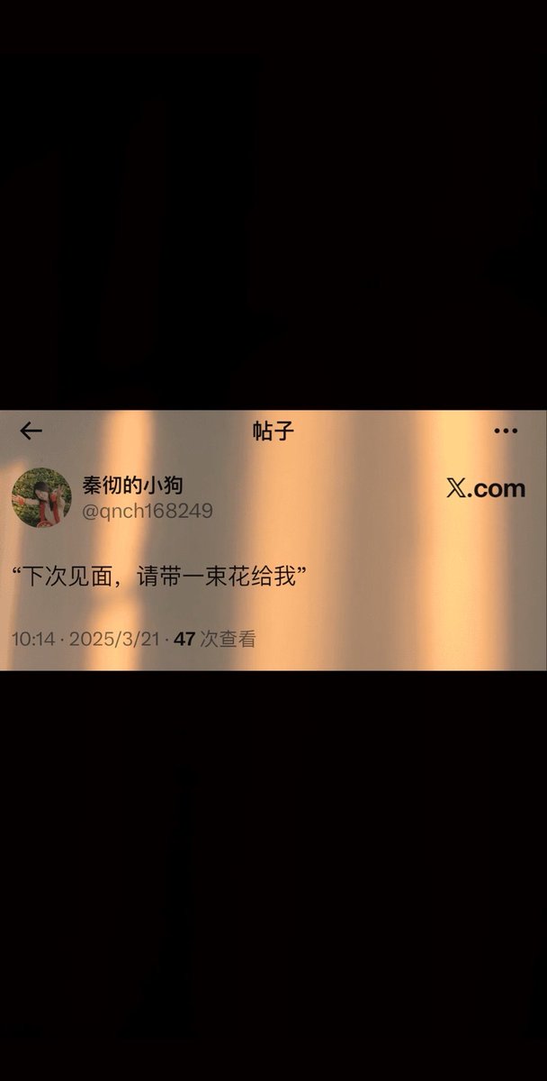 qnch168249's tweet photo. 我不怪你无缝衔接，
也不怪你和全世界说我伤害你，
至少，我还有用。
只可惜，
我得给自己买花了。 https://t.co/LgrjkObIFh