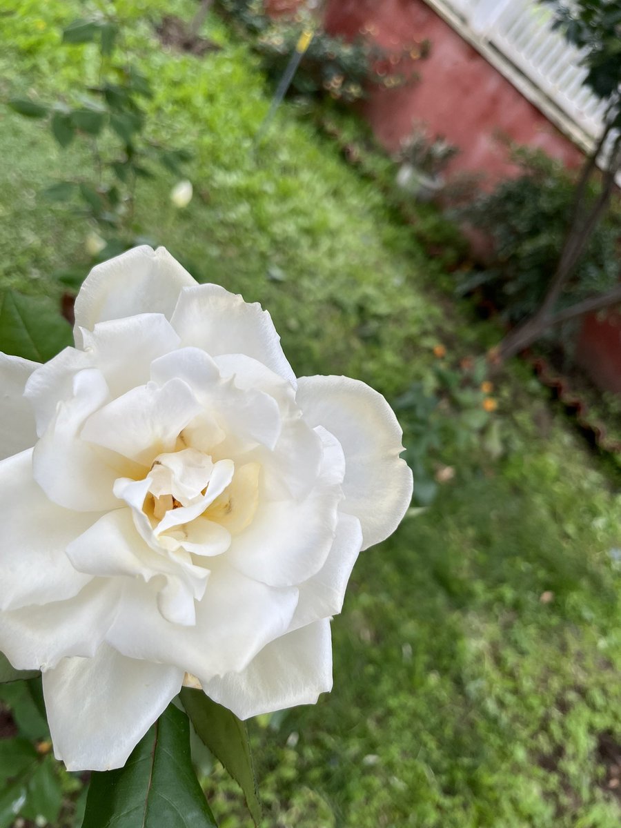 Günaydın.Balıkesir Sındırgı  merkezli 4.9 şiddetli depremi Çanakkale’de evimizde hissettik.Epeyce sallandık.
  Balıkesir ve Çanakkale illerimizde yaşanan halkımıza geçmiş olsun.