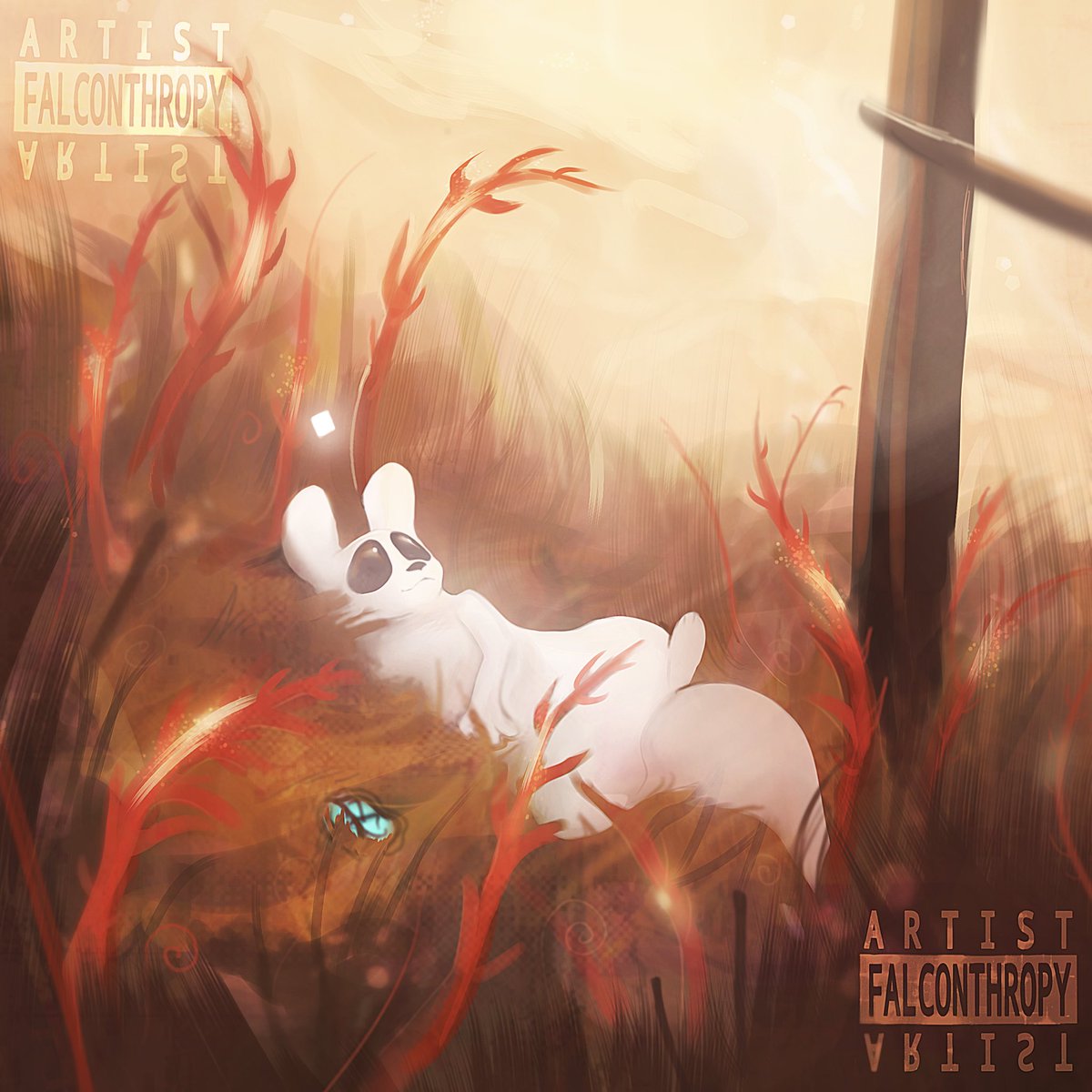 Outer Expanse 🐾 #Rainworld