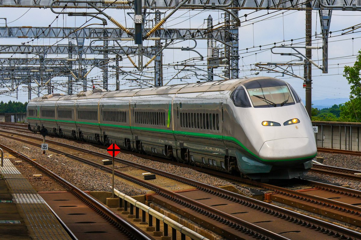 オポッサム (@Opossum787) / Posts / X