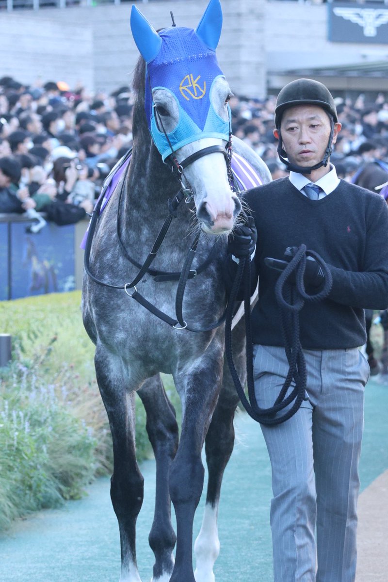 アドマイヤテラは第二回中間発表49位から最終結果31位の大躍進！
無事有馬記念に出走できますように

#アドマイヤテラ