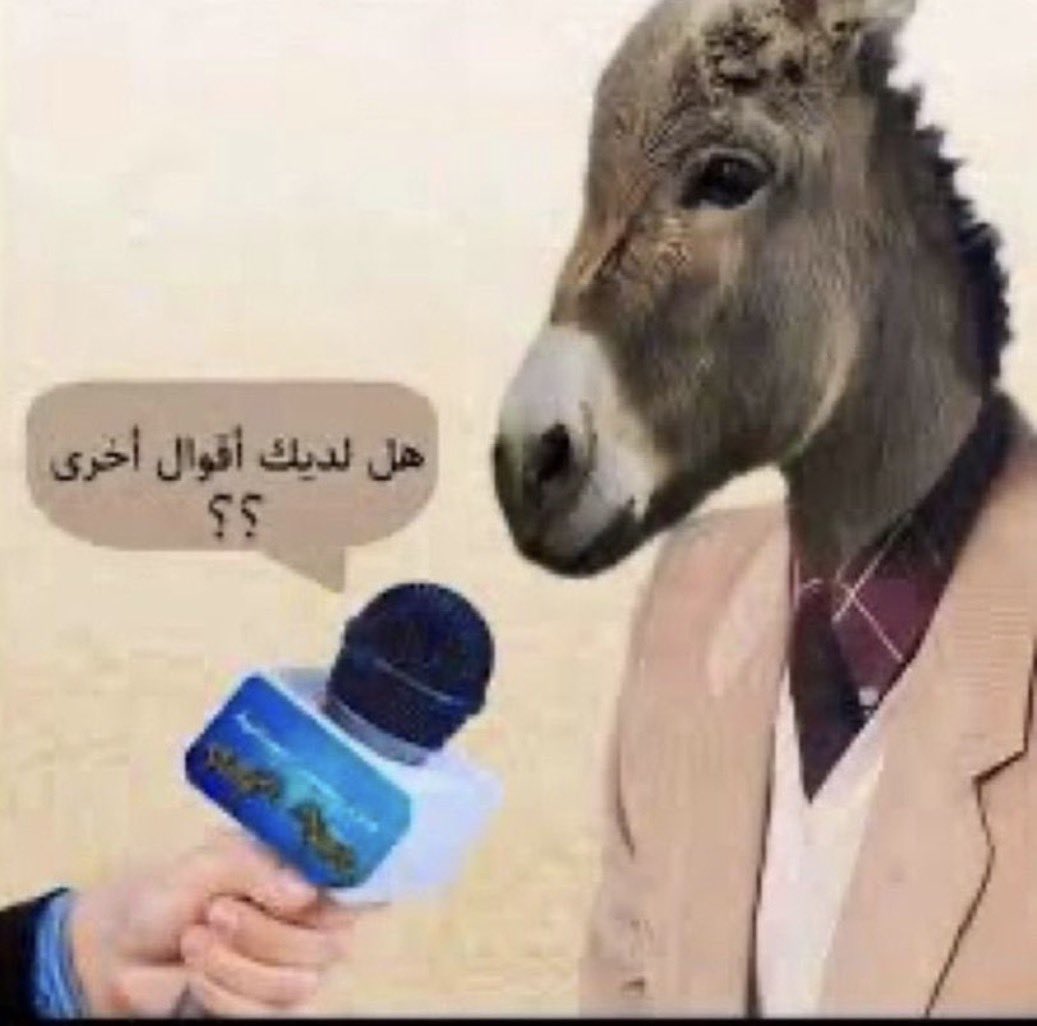 😂😂😂😂😂😂