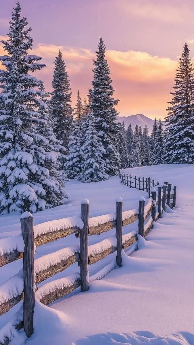 NatureExpl96980's tweet image. 