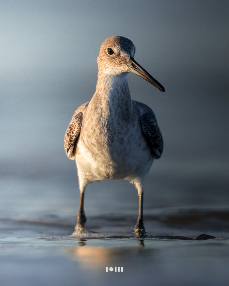 Always a great photo