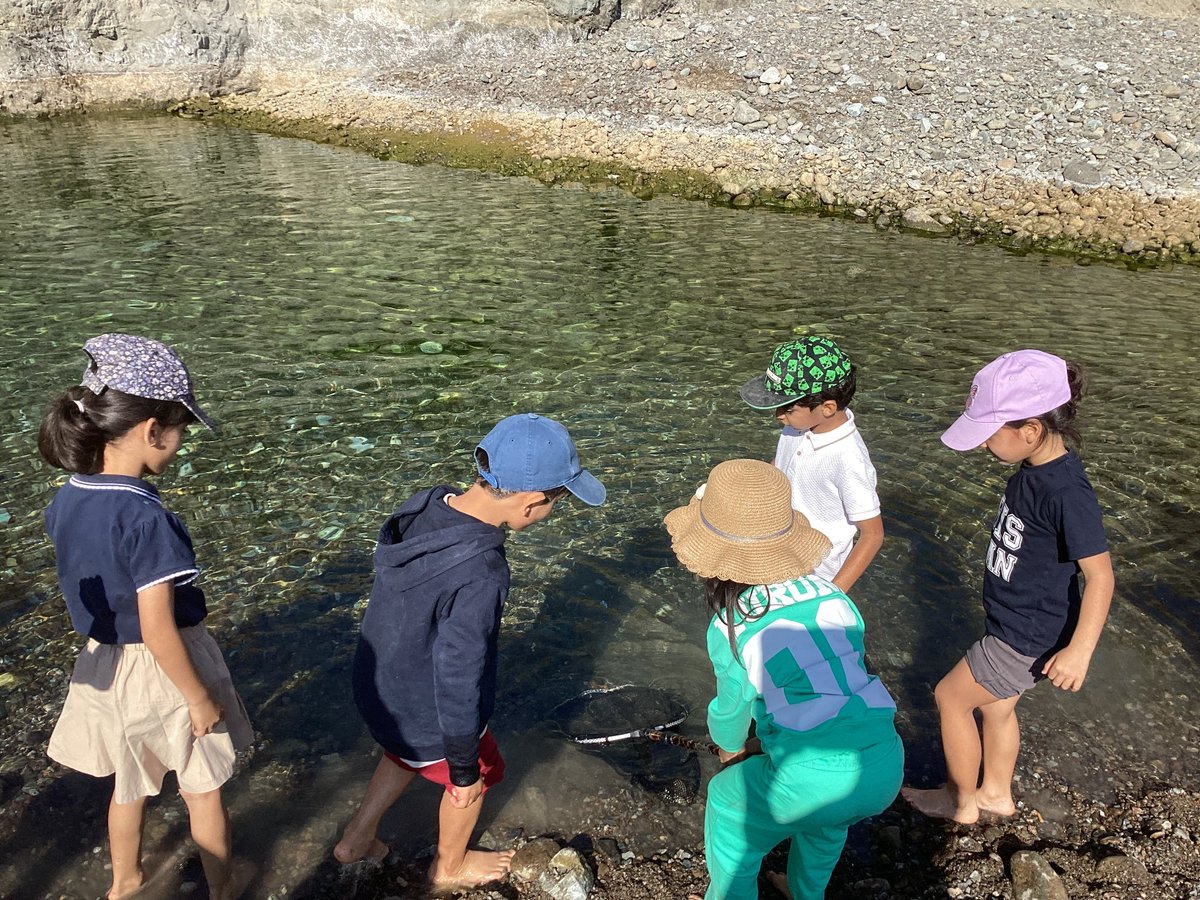 ABISOman's tweet photo. Grade 1 students explored Wadi Hibi as part of their How the World Works unit, investigating how water shapes the land and observing plants and animals in their natural environment. A great example of learning beyond the classroom.#ABIS #Grade1 #OutdoorLearning #WadiHibi https://t.co/lVC7dnQWey