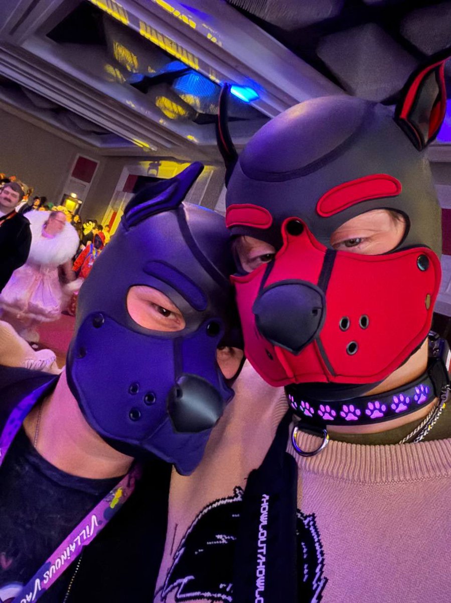 collinArcher26's tweet photo. MFF this year was truly an unforgettable moment in my life, so thankful for my friends who made it so much fun! 
#MFF2025 #pup #furries https://t.co/bnc1NpqLDg