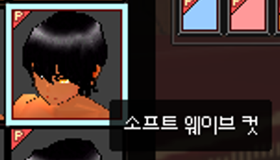 호라섬 tweet media