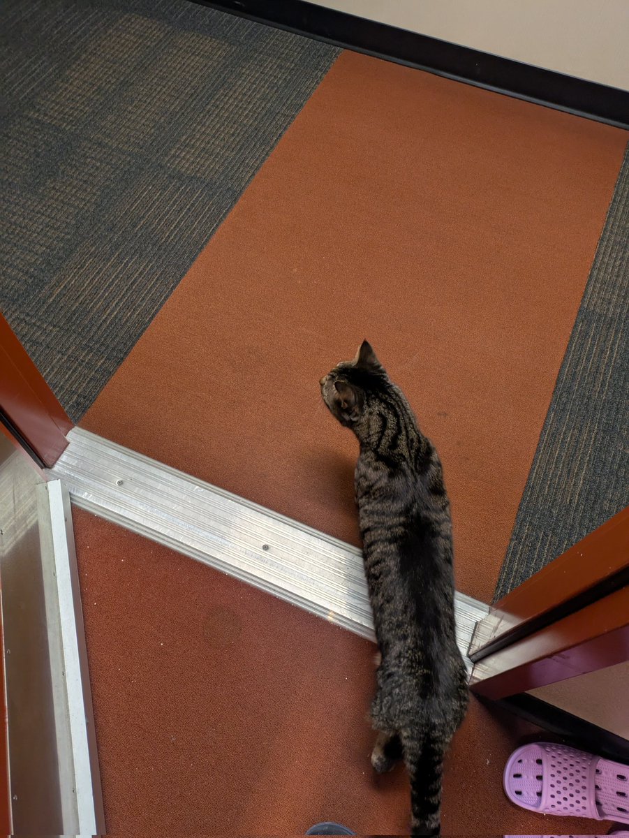 REFUSERADIO's tweet image. let&apos;s stare into the hallway with mama