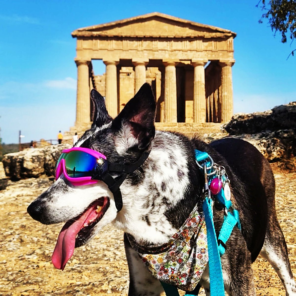 Samantha Gaytán tweet media