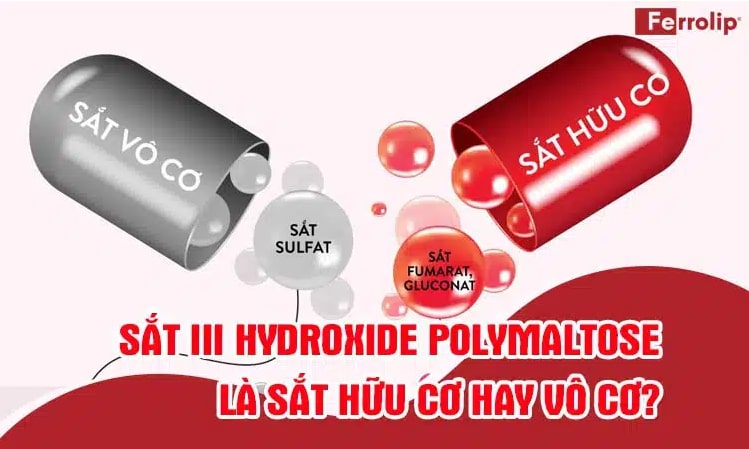 dsminhferrolip's tweet image. Sắt III Hydroxide polymaltose là sắt hữu cơ hay vô cơ? Nên bổ sung sắt nào?

➡️➡️➡️ferrolip.vn/sat-iii-hydrox…

#ferrolipbau #ferrolip #satbaovinang #xegoitrungvang #satfebaufe