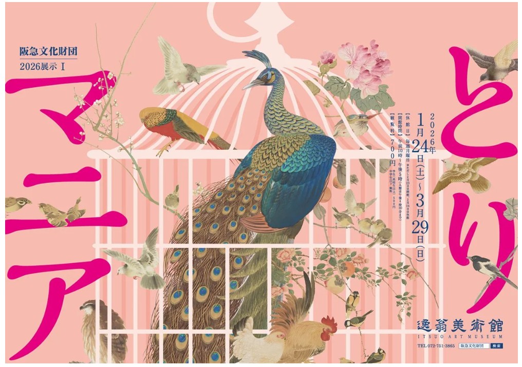 鳥好きのフォロワーさんは行くのかな🐦