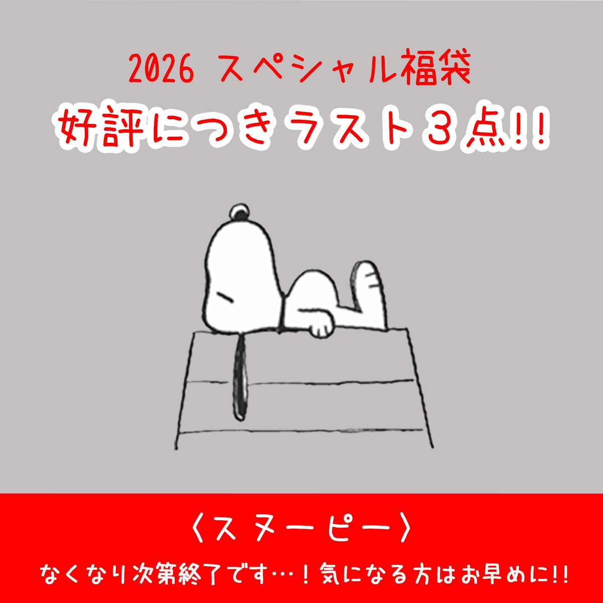 スヌーピーの2026 スペシャル福袋は好評につきラスト3点！なくなり次第