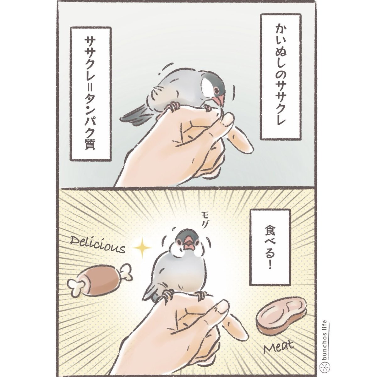 SDGsな文鳥
#文鳥 
#4コマ漫画 

※2026カレンダー販売中!
詳しくは固定ポストをご参照ください✨ 