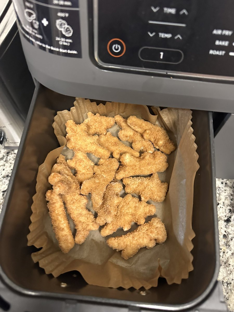 One of those nights… had to pull out the Dino chicken nuggies.. anyone want?