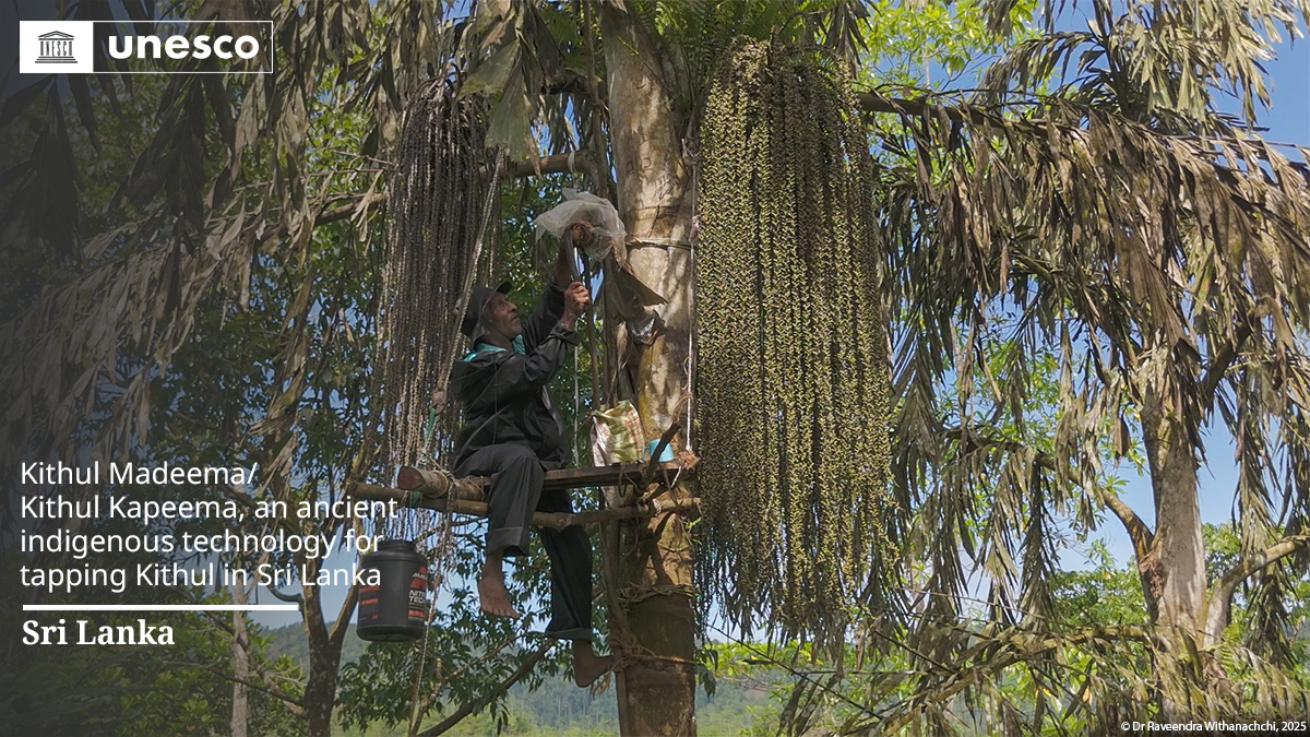 🔴 BREAKING

New inscription on the #IntangibleHeritage List: Kithul Madeema/Kithul Kapeema, an ancient indigenous technology for tapping Kithul in Sri Lanka, #SriLanka🇱🇰.

Congratulations!

unes.co/20ich #LivingHeritage
