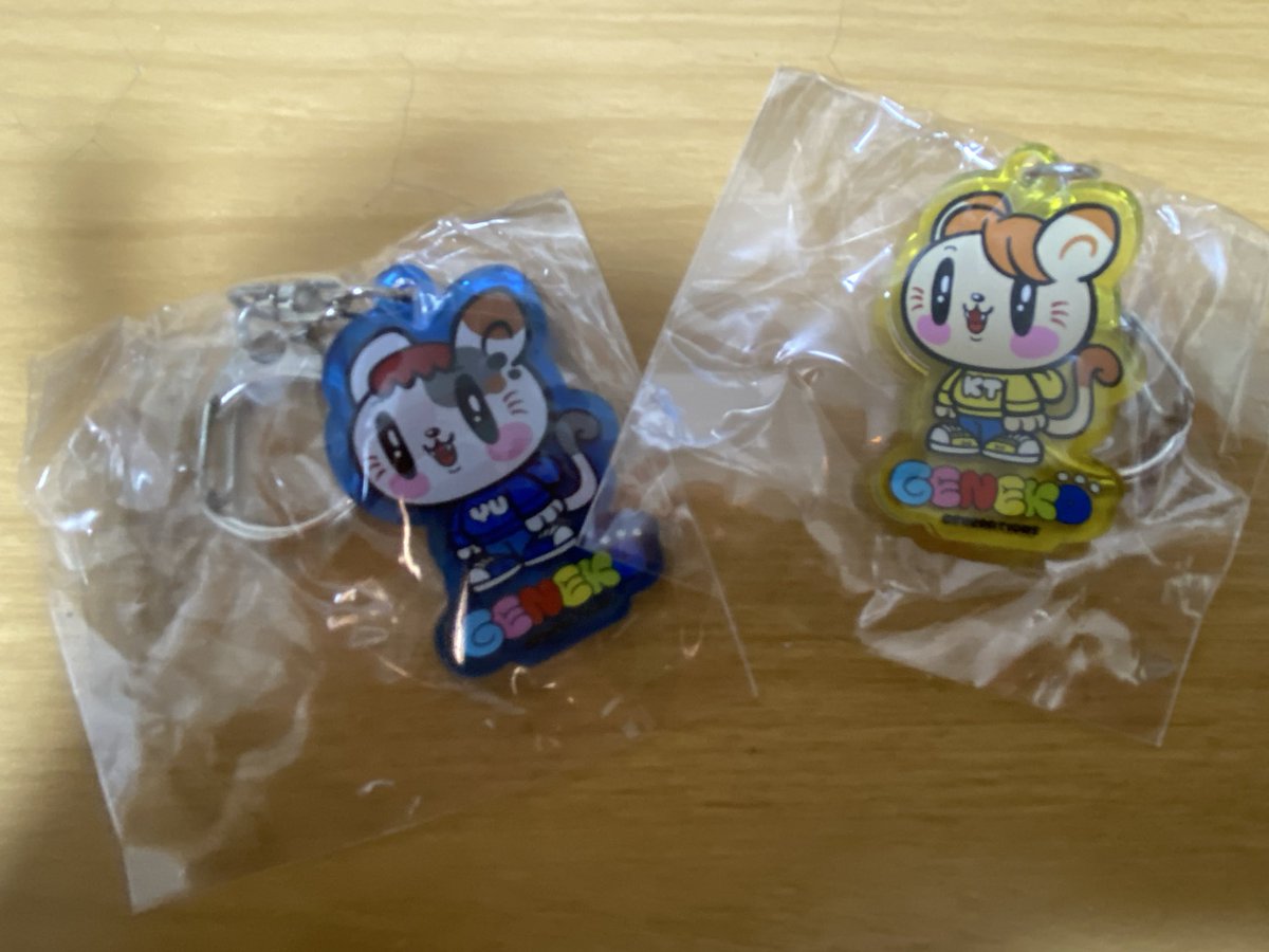 ジェ猫 グッズ 交換 譲）写真のもの 求）白濱亜嵐、佐野玲於 同種