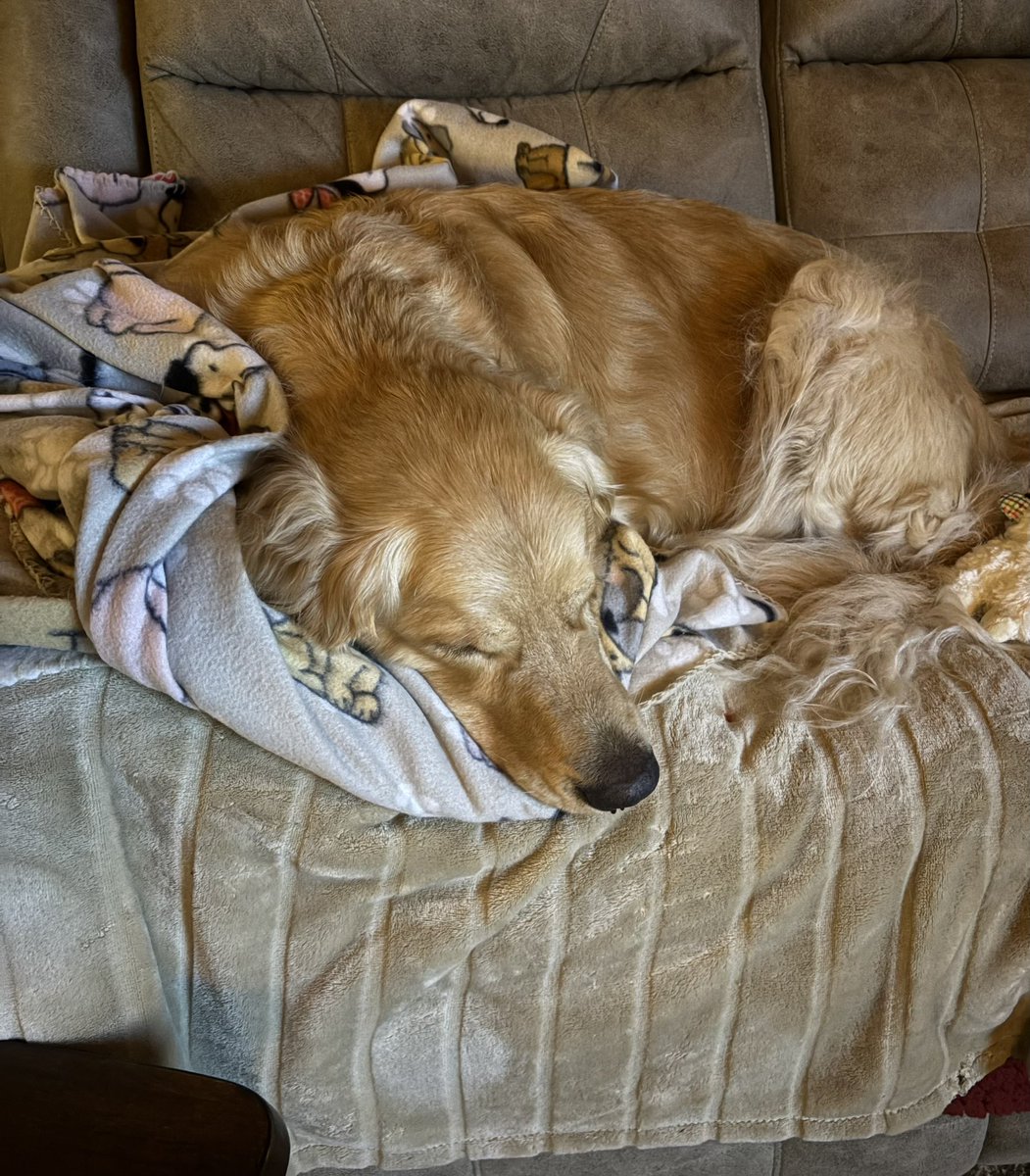 The before and then after, of his rhino surgery. 😢 It’s a rough night for him.