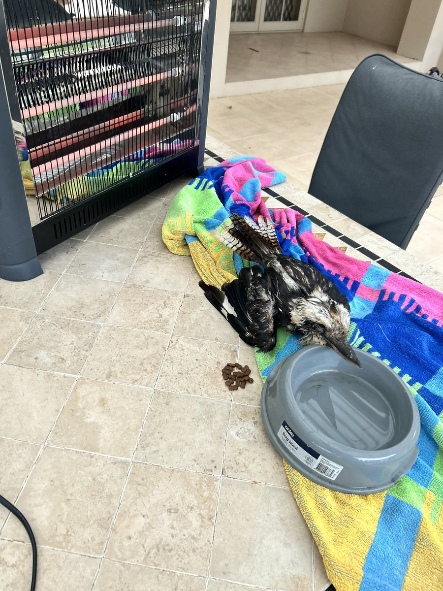 ✨ h e a t h ✨ tweet media