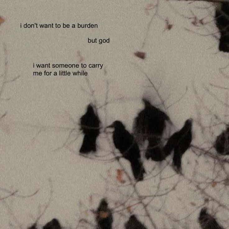 🍂 (@lovandfear) on Twitter photo 