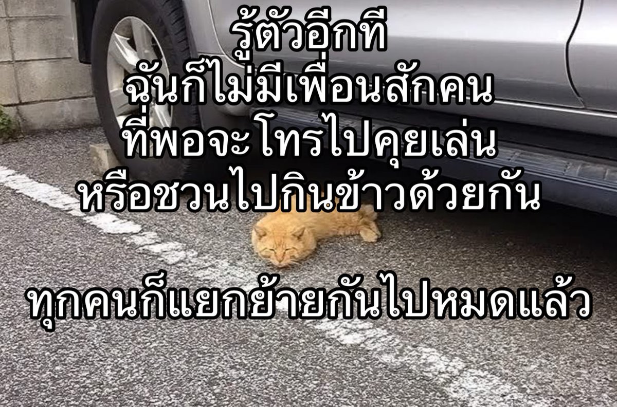 ใครสักคนกล่าวไว้ tweet media