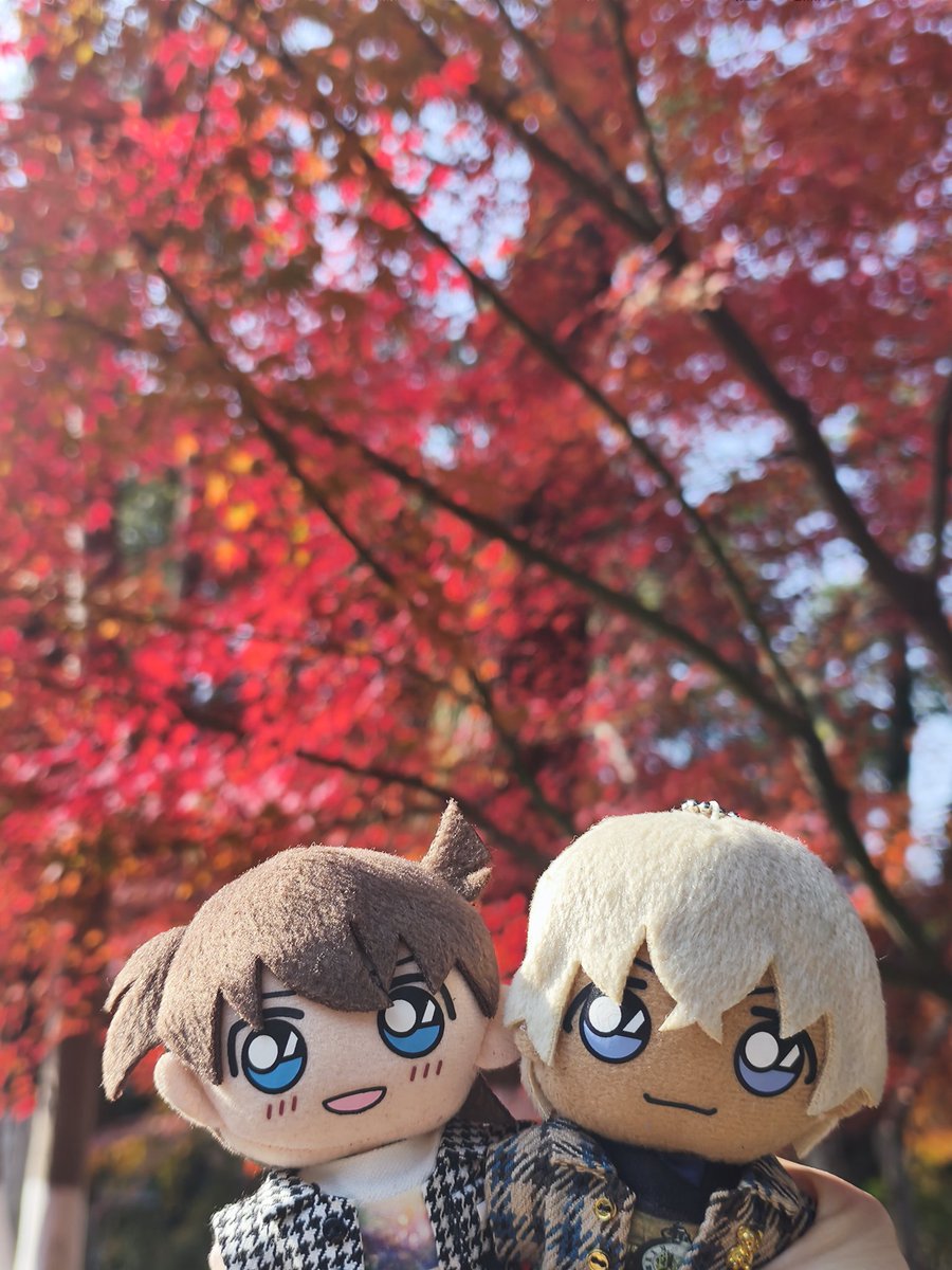 🍁