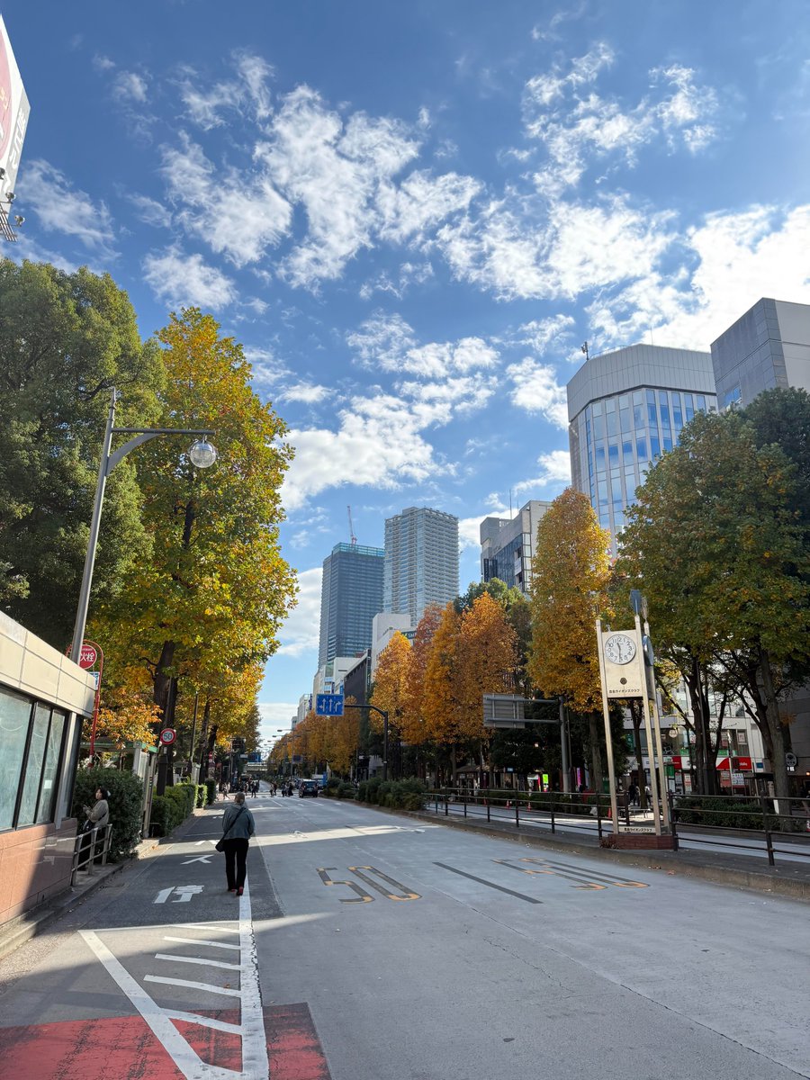 _moziahsama's tweet photo. ひさしぶりの更新だね～💛
今日、街を歩いてたら、ずっと癒やされる景色に出会ったの。
黄金色の街路樹が高層ビルの奥までずらりと続いてて、陽も風も、どちらもちょうどいい感じだったんだ✨ https://t.co/Lutjix8Eeb